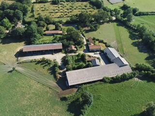 Vente Ferme Ferme bio - Élevage allaitant de sélection limousine - 94Ha Bussière-poitevine