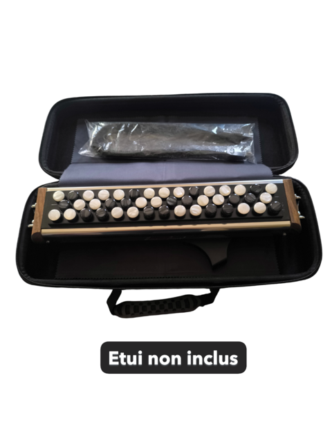 Accordina Version Accordéoniste Joseph Carrel  Neuf !! 1490 Bords (17)