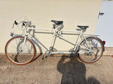Tandem Michenon 675 Montesquieu-des-Albres (66)