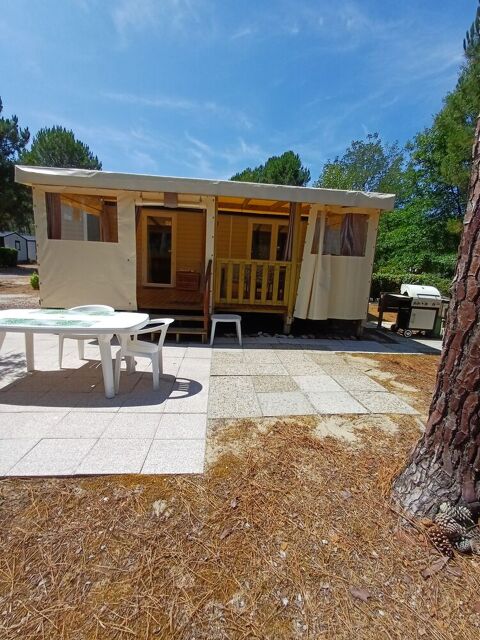 Mobil-Home Mobil-Home 2022 occasion Vendays-Montalivet 33930