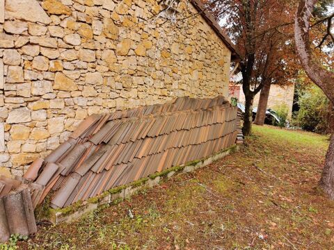 tuiles canale Le Bugue (24)
