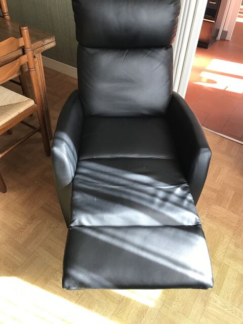 fauteuil relax 100 Langeais (37)