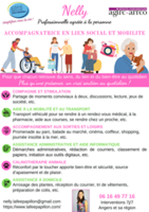   Dame de compagnie / Accompagnatrice  domicile 
