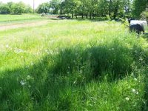   grand  jardin  avec   puits a la  campagne 
