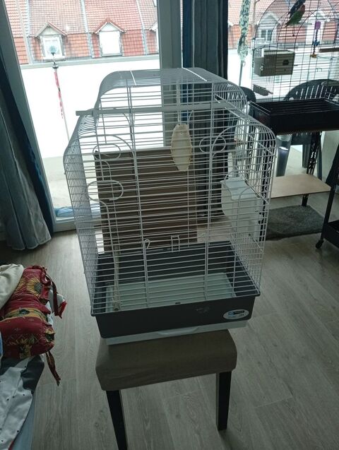 Cage oiseaux 
50 62110 Hnin-beaumont
