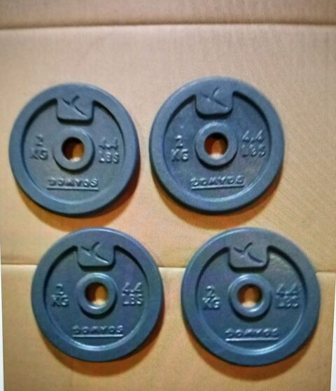 Disque de musculation 10 Isigny-sur-Mer (14)