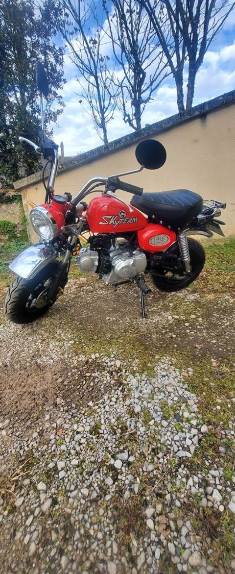 HONDA Mini moto 2024 occasion Saint-Geniez-d'Olt 12130