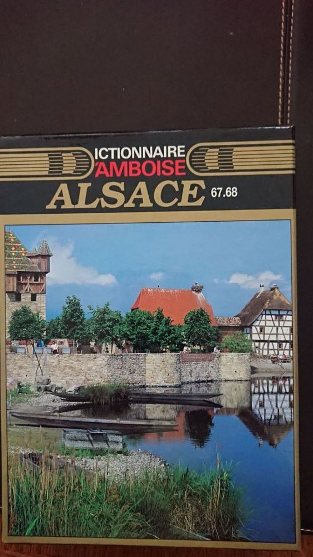 Dictionnaire AMBOISE " ALSACE " Livres et BD