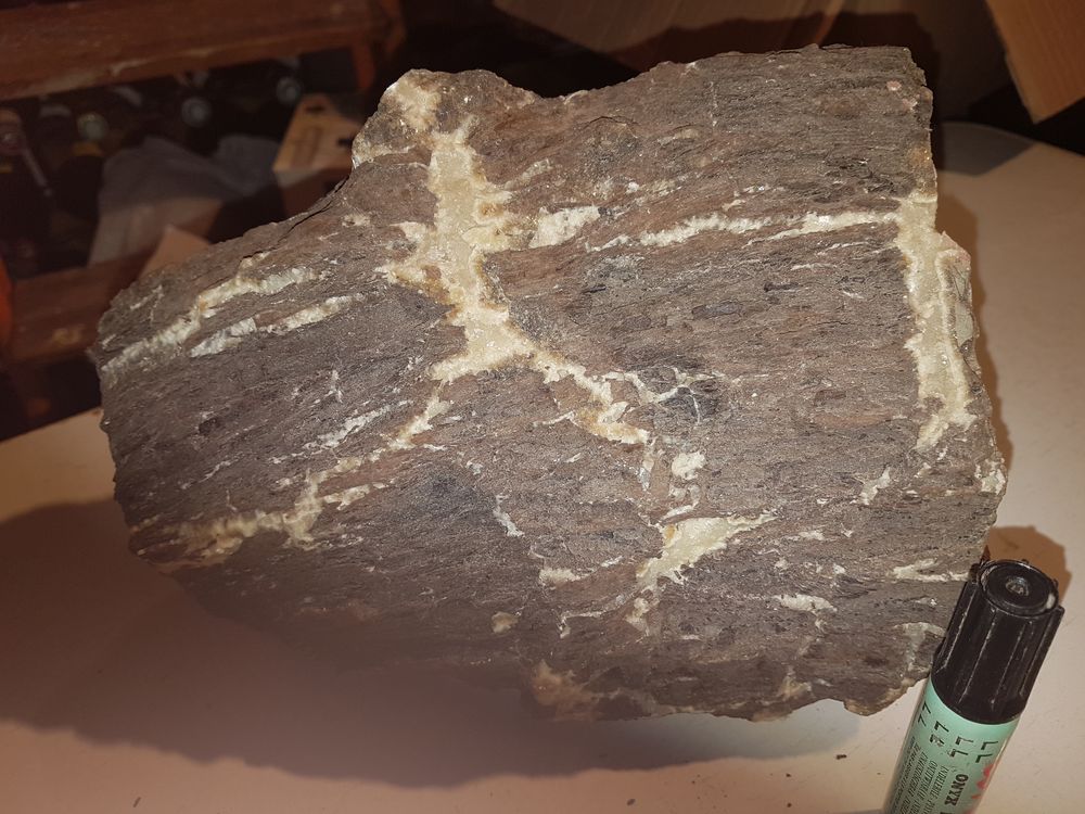  Lots bois fossile 