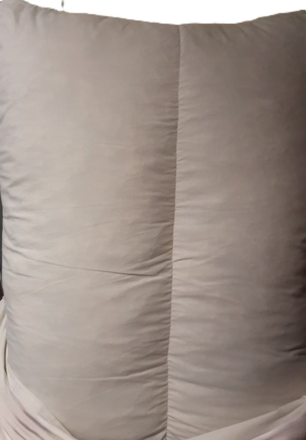 sac (5 kg) de plumes m&eacute;lang&eacute;es pour rembourrage canap&eacute;s Bricolage