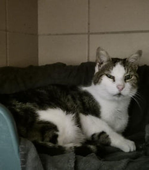 Mignon 130 26700 Pierrelatte