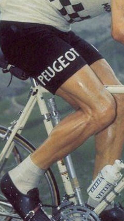 BERNARD TH�VENET 0 Toulouse (31)