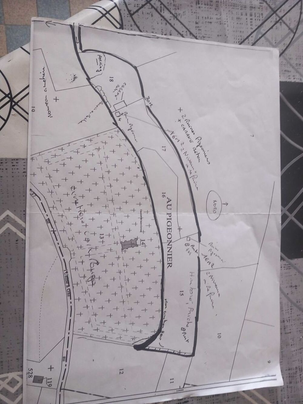 Vente Terrain terrain ,avec fruitier ,friche, 8000m2 2 pigeoniers à remonte Lectoure