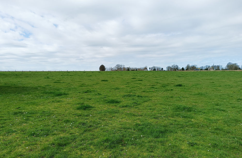 Vente Terrain PROXIMITE YVETOT, TERRAIN DE LOISIR 2.000 m2 Hautot-saint-sulpice
