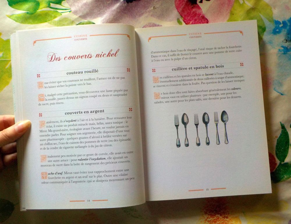 1001 SECRETS DE GRANDS-MERES par S. DUMONT-JOSSET Ed. Prisma Livres et BD