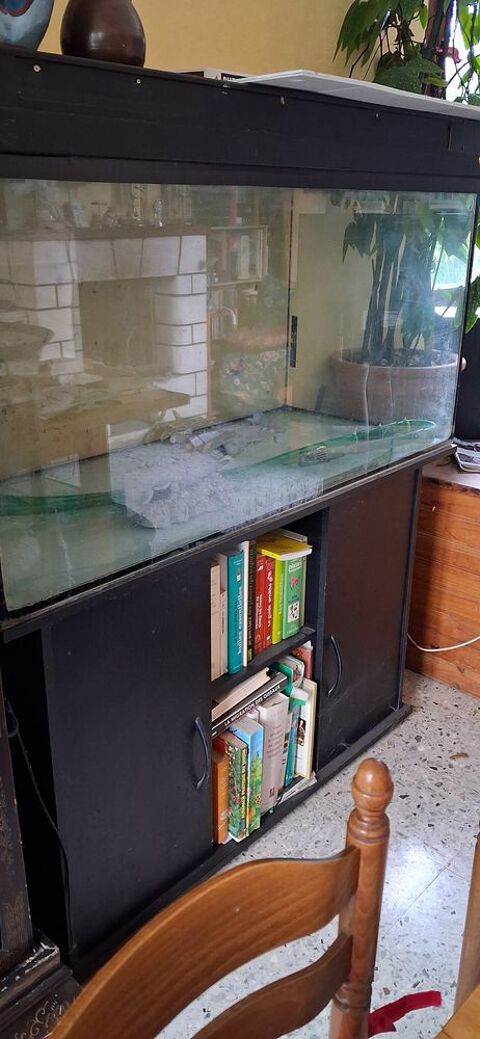 aquarium 300 l + meuble 250 30500 Saint-ambroix