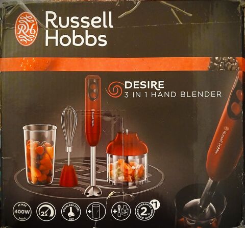 Doublon NEUF R�SSELS HOBBS Multi Mixeur plongeant D�sire  25 Bourges (18)