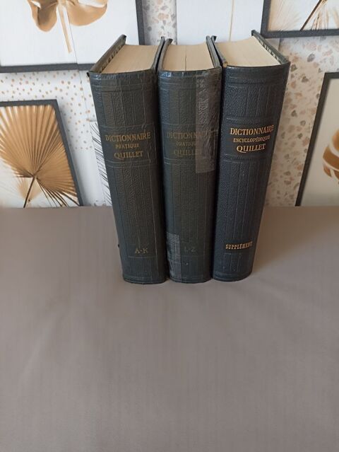 DICTIONNAIRES 2 TOMES et  Encyclopdie GROS volumes 40 Wingles (62)