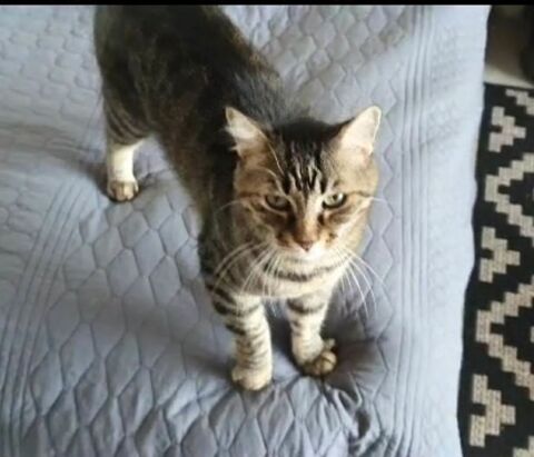 CESAR 190 92400 Courbevoie