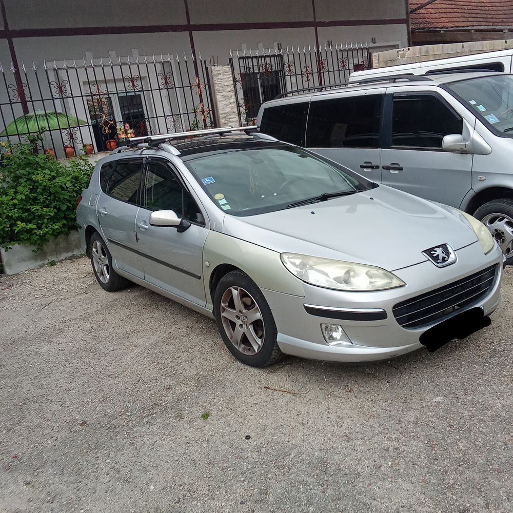407 SW 2.0 HDi 16v Ex&eacute;cutive FAP 2007 occasion 02400 B&eacute;zu-Saint-Germain