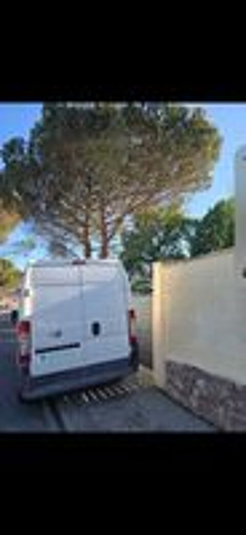 Ducato DUCATO CA 3.5 L H2 2.0 MJT 115 PACK PROFESSIONAL 2010 occasion 31000 Toulouse