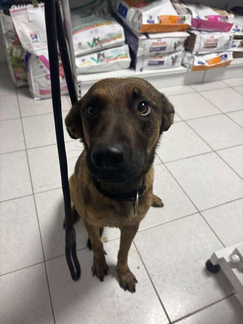 SKILLY ACTUELLEMENT A LA REUNION 0 75018 Paris