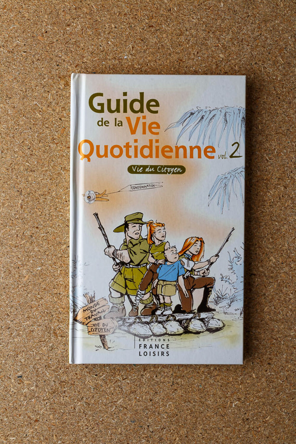 Guide de la vie quotidienne Livres et BD