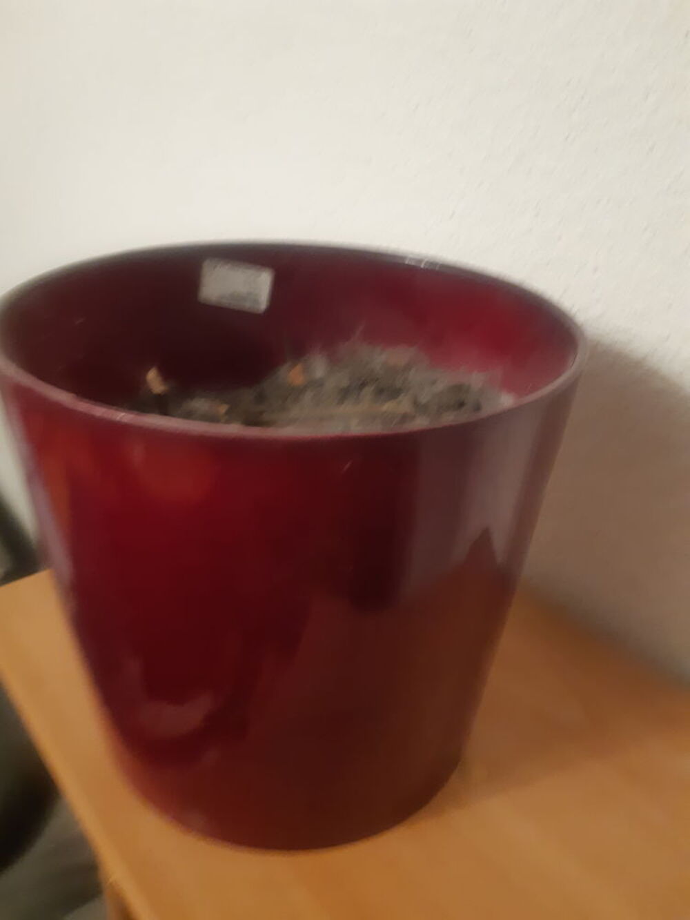 Cache pot ou Pot rardiland diam&egrave;tre 22cm avec terre dedans Jardin