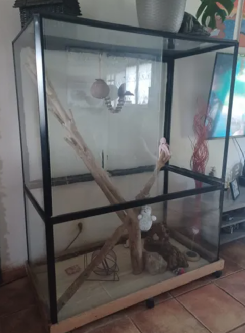 Terrarium en verre sur roulettes 130 Vernon (27)