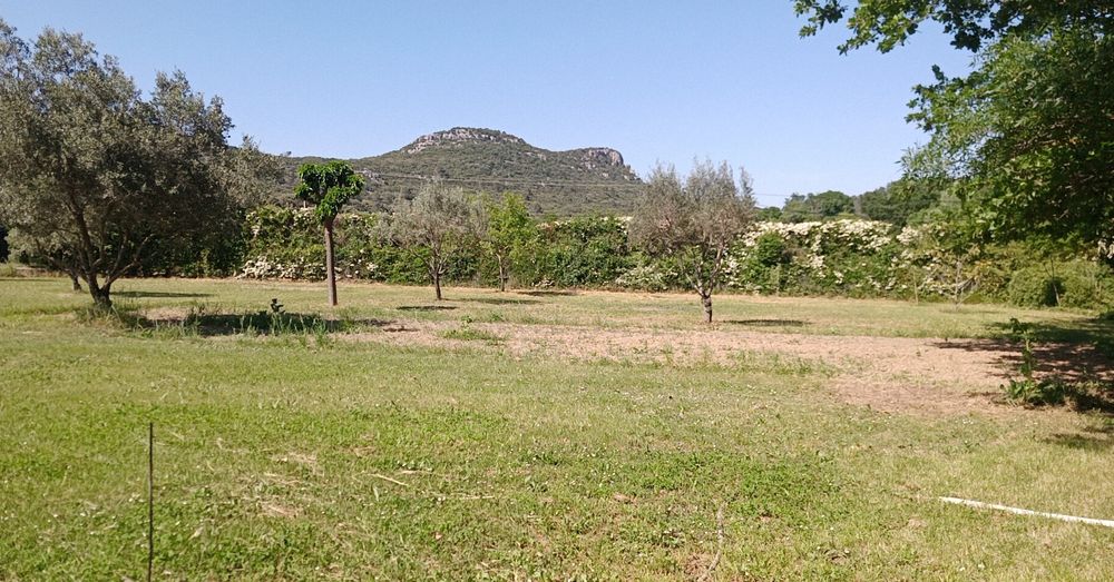 Vente Terrain Deux terrains à construire jumelés sur 7321 m2 Bragassargues