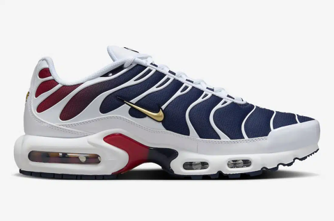 CHAUSSURE NIKE TN AIR REQUIN OFFICIEL PSG 150 Dax (40)