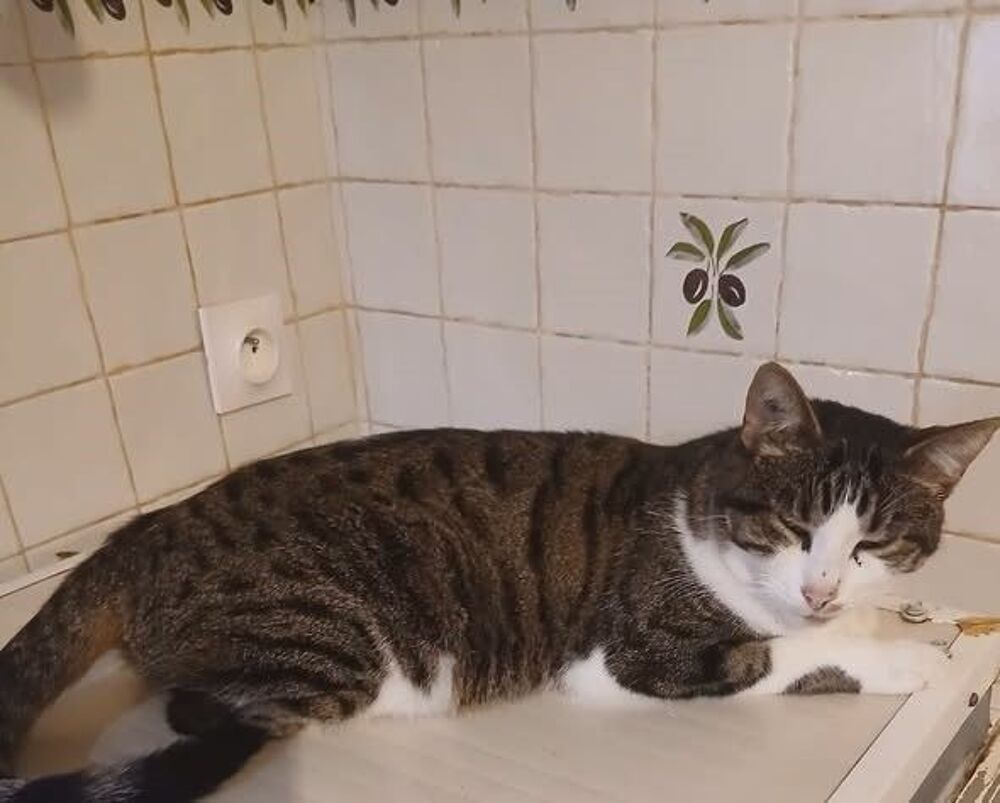   SISKO 