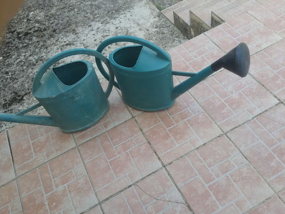 Arrrosoirs de 11 l chacun Jardin
