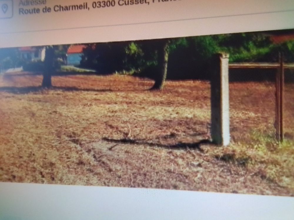Vente Terrain terrain constructible CUSSET 03300 Cusset