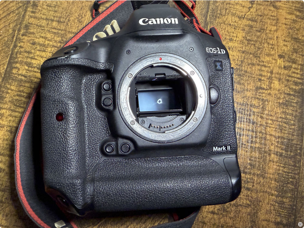 CANON EOS-1D X MARK II Appareil photo reflex num&eacute;rique plein Photos/Video/TV