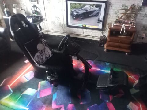 simulateur voiture logitech 350 Thionville (57)