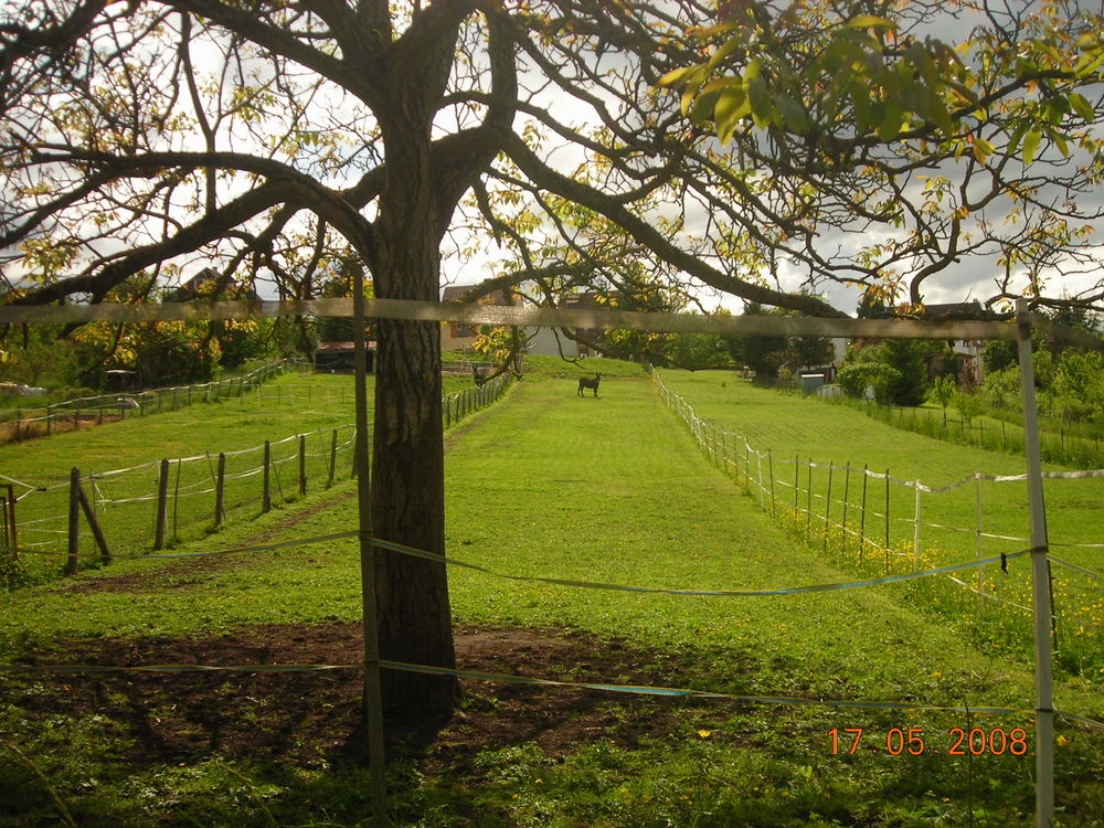 Vente Terrain terrain constructible 976m 03300 cusset Cusset