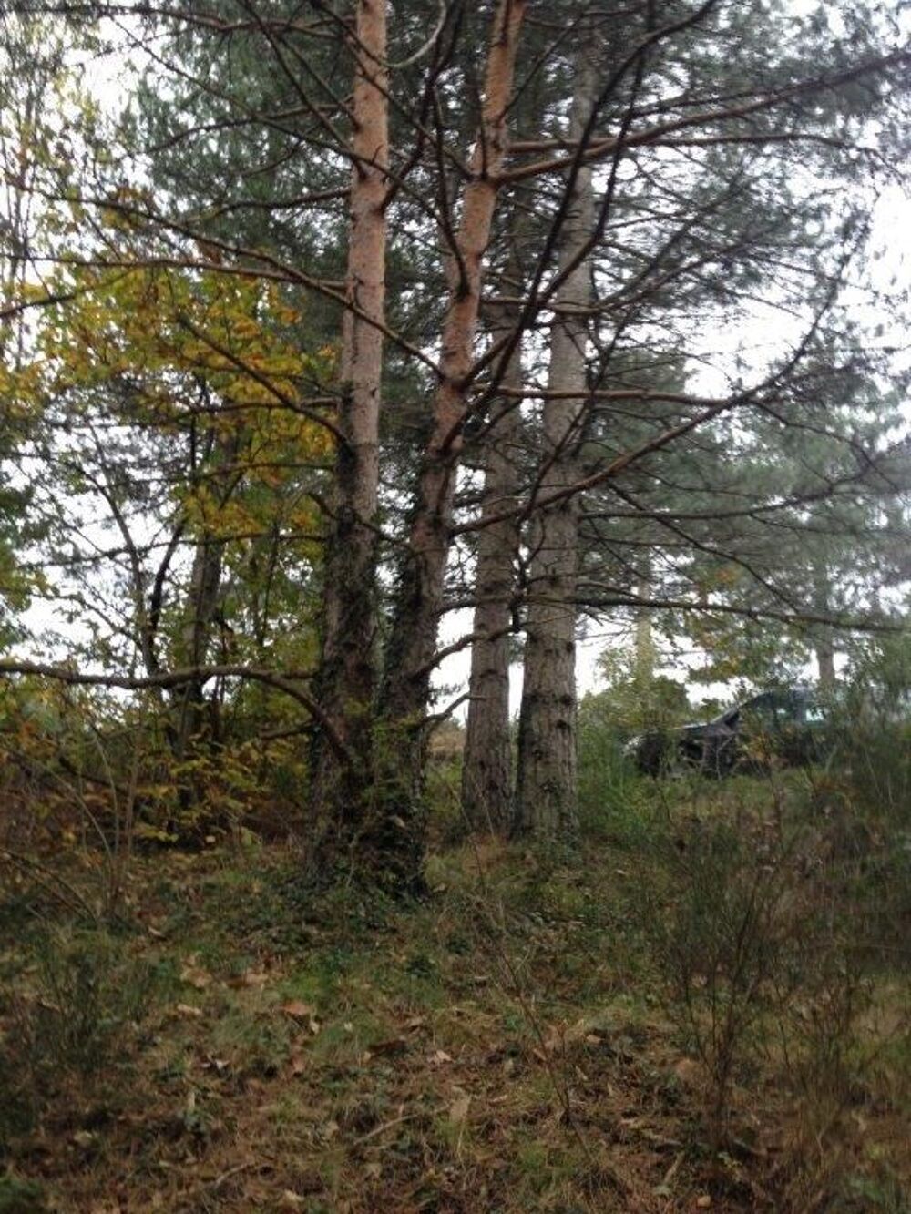 Vente Terrain Terrain Pâturage dans les Cévennes Concoules Concoules