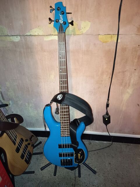 Basse Cort C4 Deluxe bleue 250 Cannes (06)
