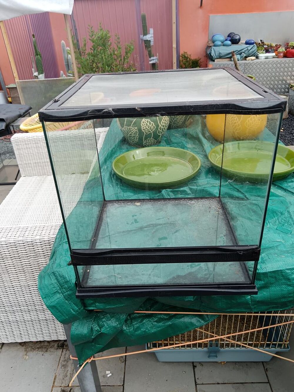 Terrarium Jardin