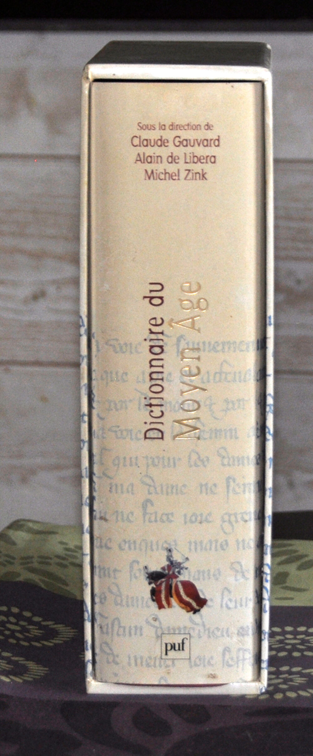 Dictionnaire du moyen-&acirc;ge dans son coffret Livres et BD