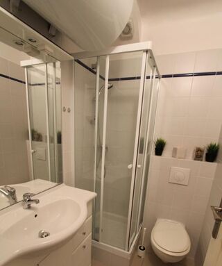  Appartement à louer 1 pièce 29 m²