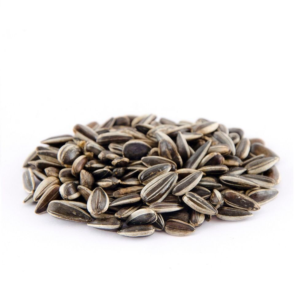 5kg de graines de tournesol stri&eacute;es g&eacute;antes(monofleur) Jardin