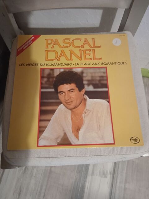 Vinyle Pascal Daner
Ses Grands Succès 14 Talange (57)