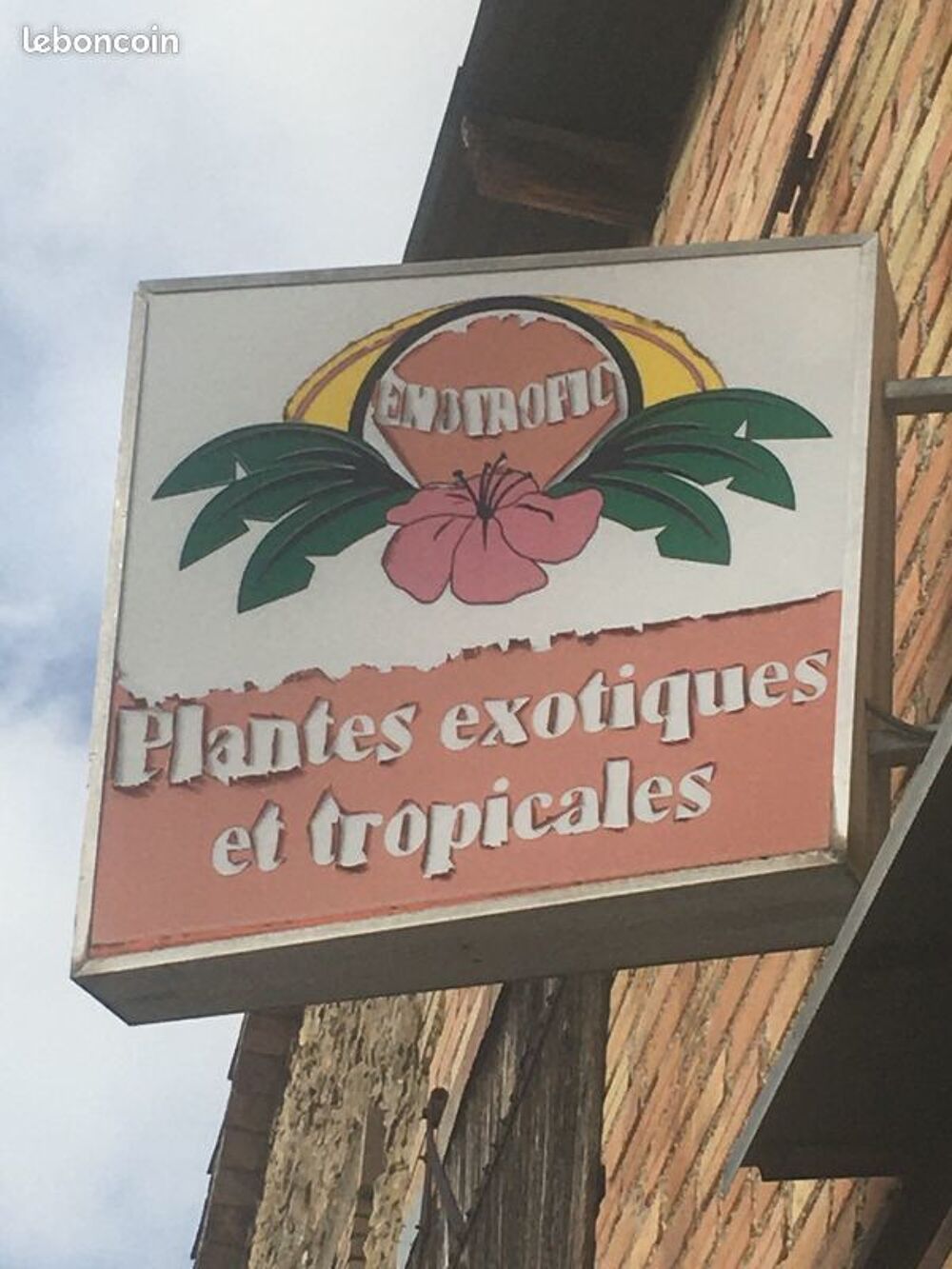 Enseigne lumineuse alu /plante tropicale , exotique Bricolage