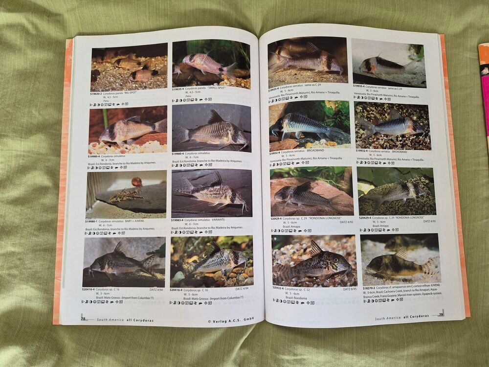 Lot 2 livres aqualog all corydoras + extra Livres et BD