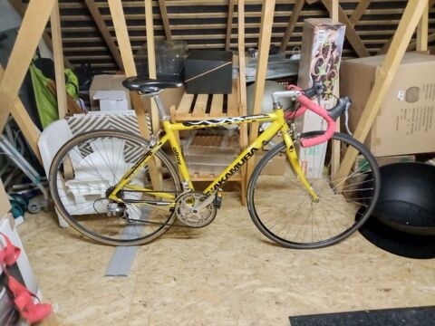 V�lo de route Le Bourgneuf-la-For�t (53)