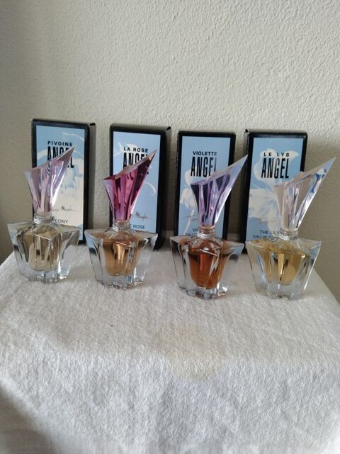 Miniatures de parfum Angel 1 Svrac-d'Aveyron (12)
