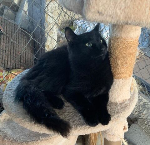 DRAKO 180 27620 Gasny