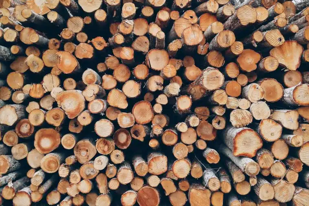 bois de chauffage Bricolage